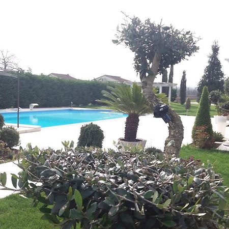 Willa Agriturismo Sant' Isidoro Anagni Zewnętrze zdjęcie